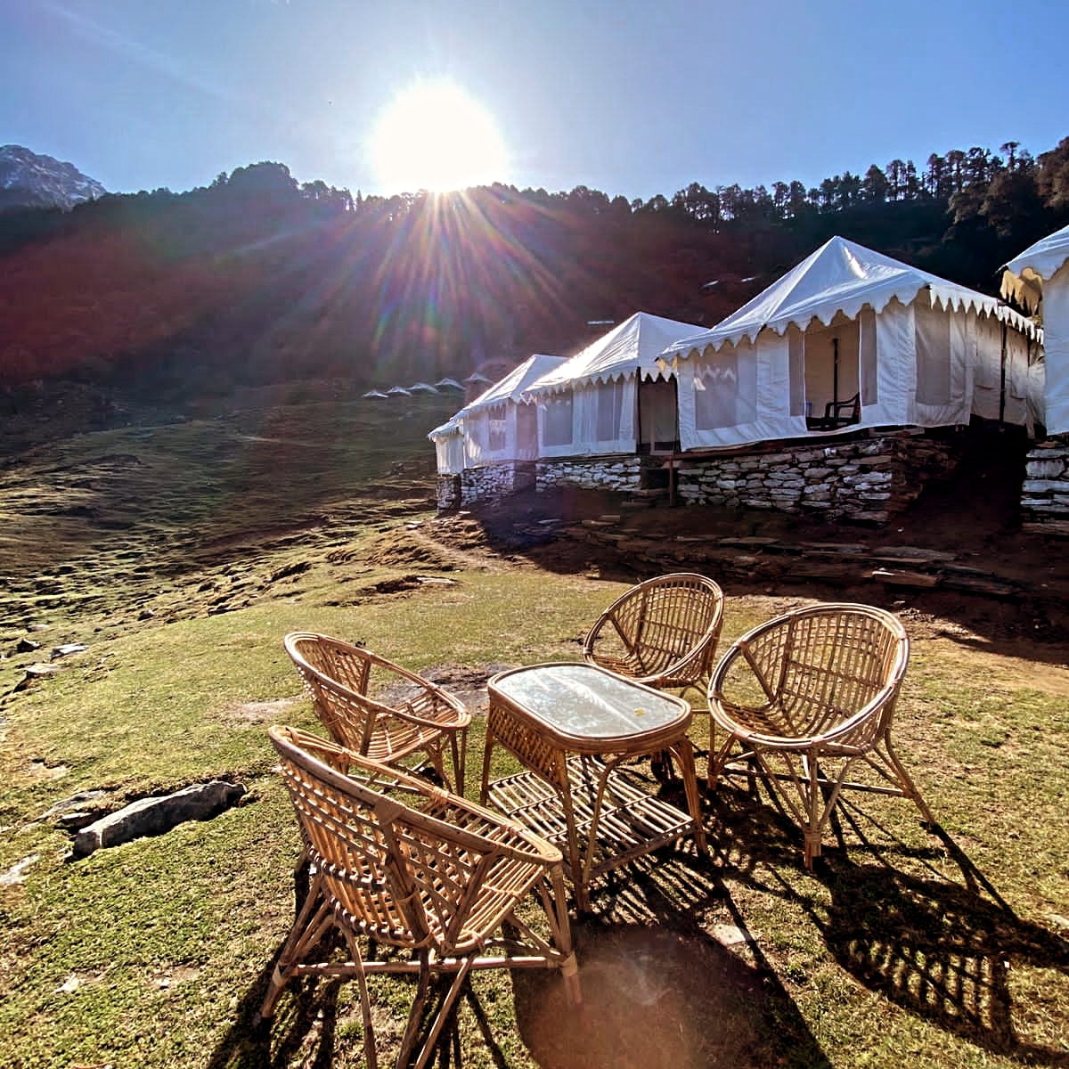 Chopta-Chandrashila trek